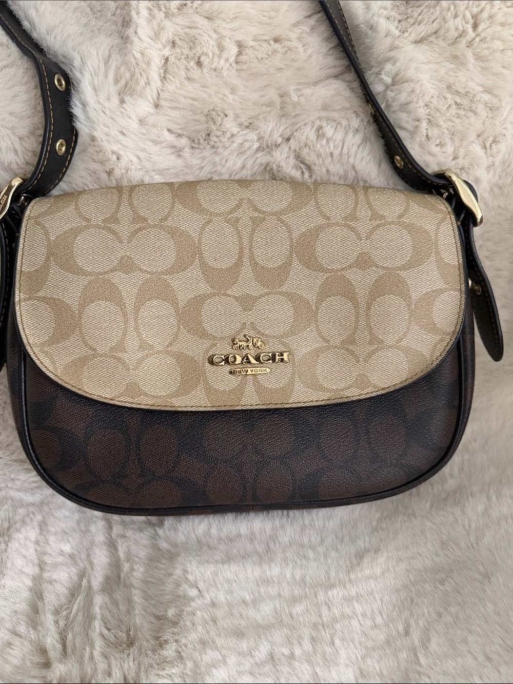 Coach Two-Tone Signature Saddle Crossbody in Beige and Brown